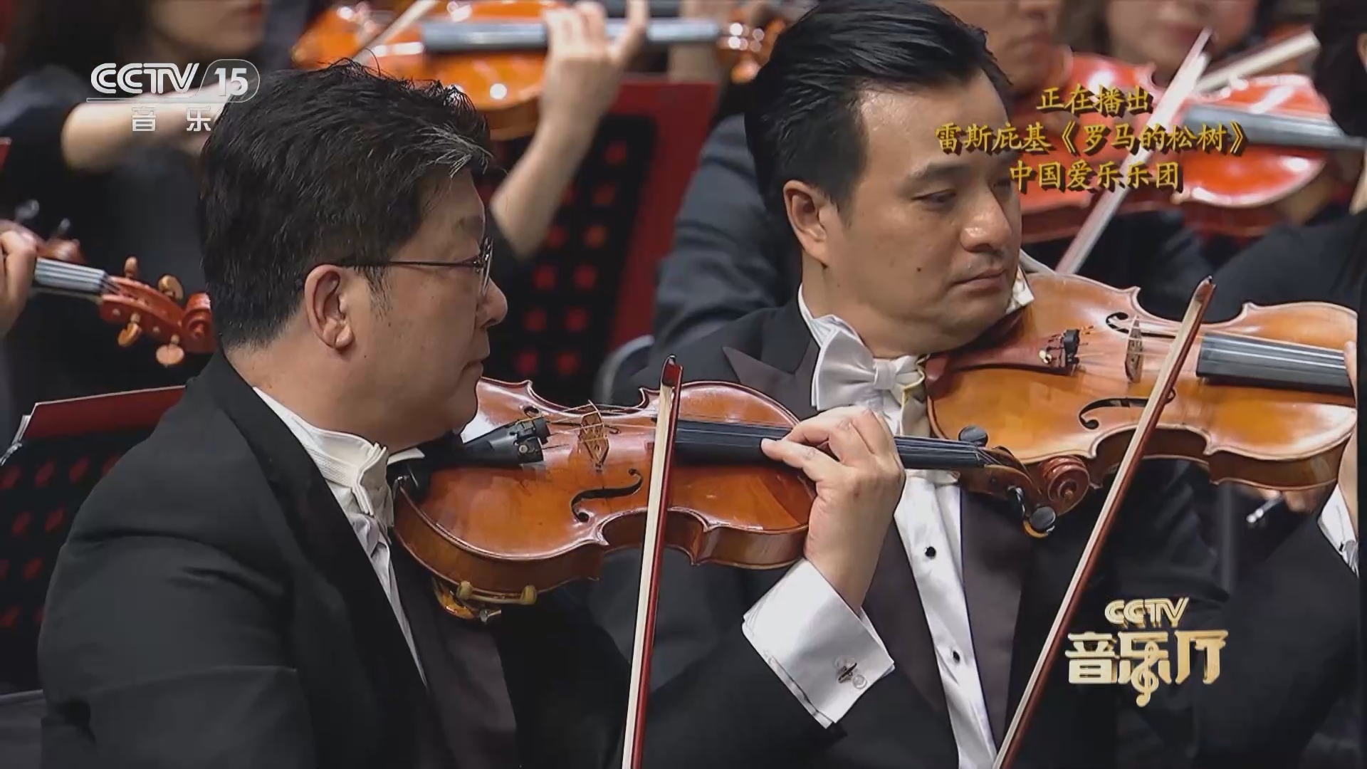 秦怡宁同人动漫 创作她参与战斗的精彩场面