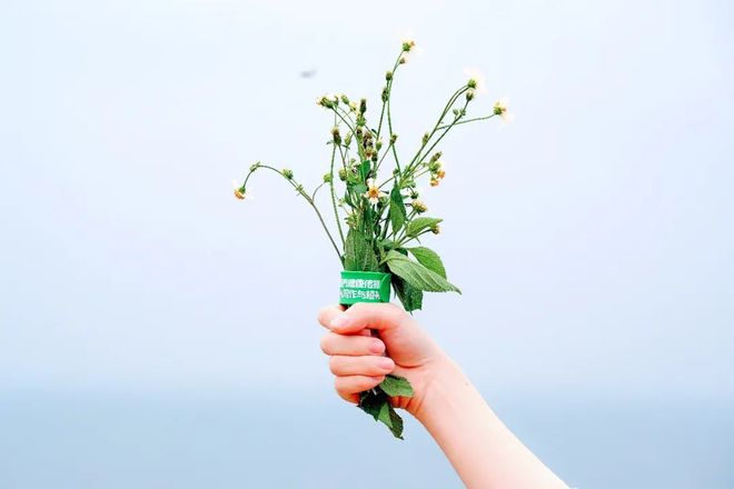 久久精品国产精品亚洲艾草网 