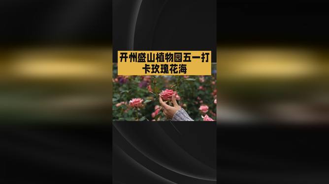 兹白同人动漫 成为真正的同人“动漫”