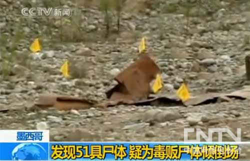 啄木鸟翻译 您具体想了解哪方面