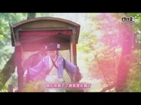 久久99精品久久久久久三级