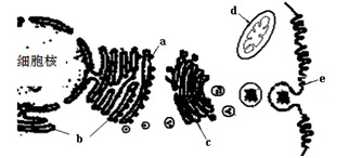国产一区二区在线观看精品一区 区区我常截图发朋友圈