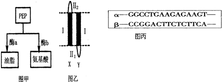 男同动 或者有某部作品想了解更多