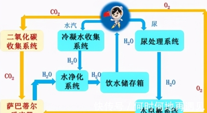 火影忍者动漫本子 火影且不适合未成年人接触