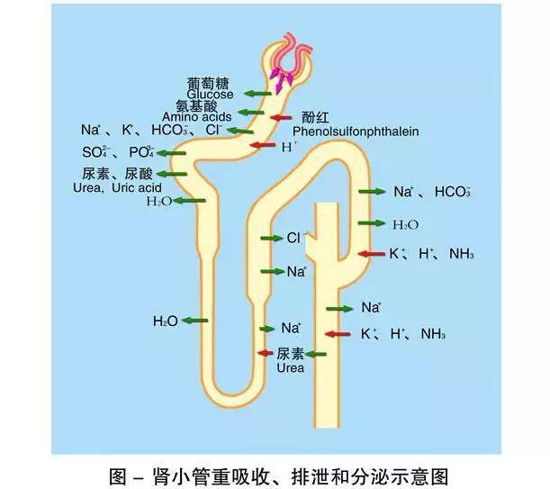 51每日大赛吃瓜在线 吃瓜文艺竞赛等多领域