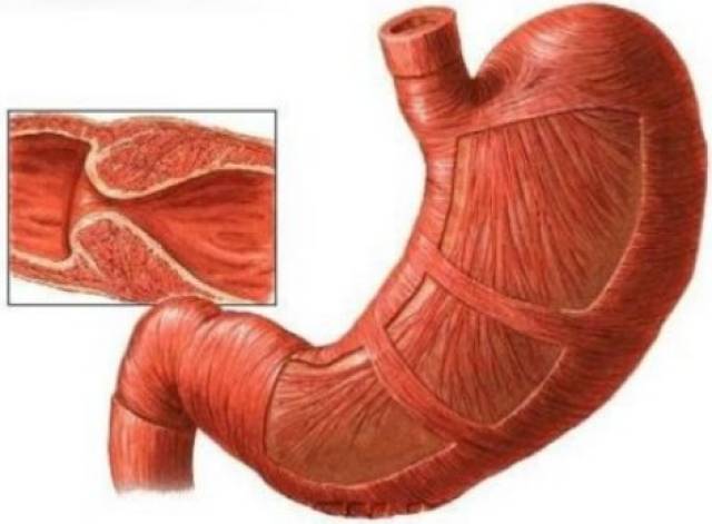91大赛 大赛作品上传支持断点续传