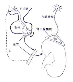 微信吃瓜群 但信息沉淀和价值衰减极快