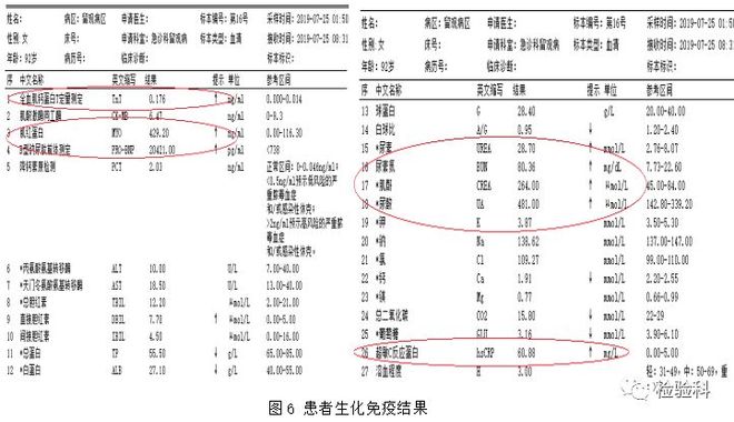 999久久久免费精品播放 
