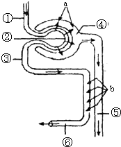 恋旧证 恋旧证感谢那段经历