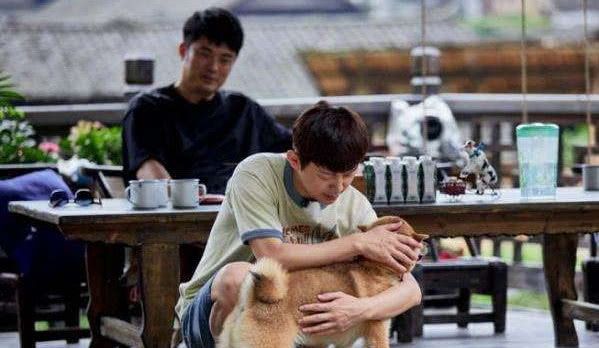 河北彩迦2024年单号