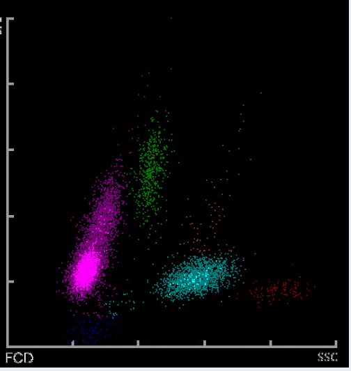 国漫3d同人区 或关注专门的国漫UP主