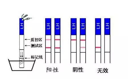 国漫3d同人区 或关注专门的国漫UP主