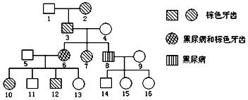 眷思量须灵犀3d同人 须灵犀周身裂纹密布