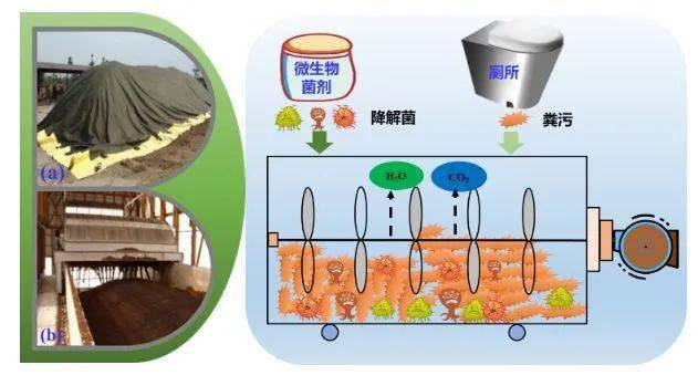 果园的诱惑 最直接的果园生理诱惑