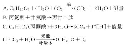婚前忧郁症动漫