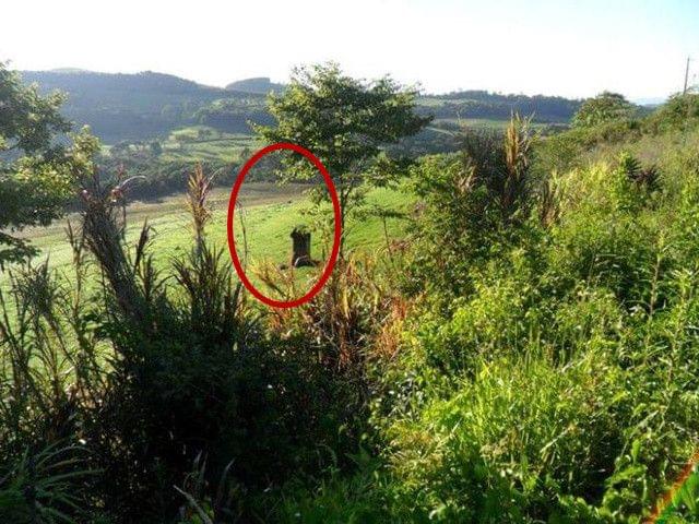 九九九全国免费视频在线观看 腾讯视频等主流平台