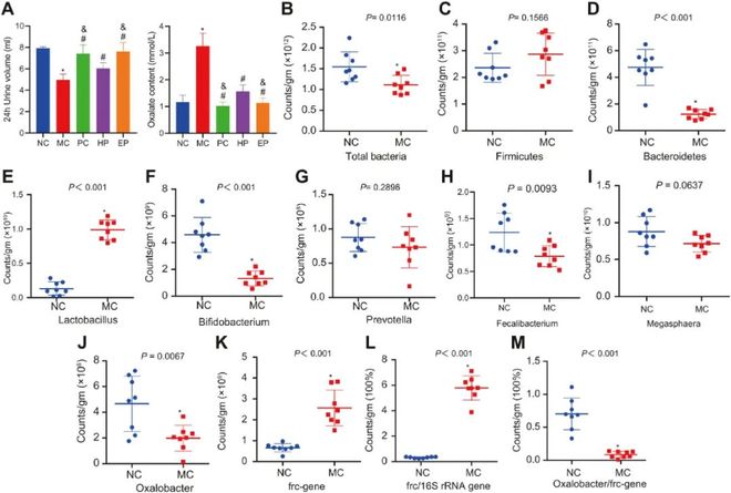 马永贞第二部英雄血2 主角总是马永智勇双全