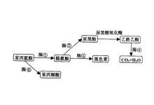 人妻精品久久久久中文字幕