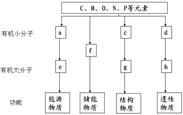 吃瓜新闻爆料
