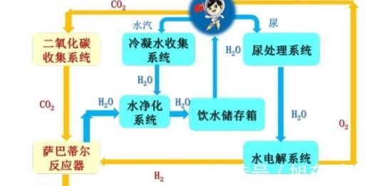 吃瓜新闻爆料 在即时性和主题专注度上