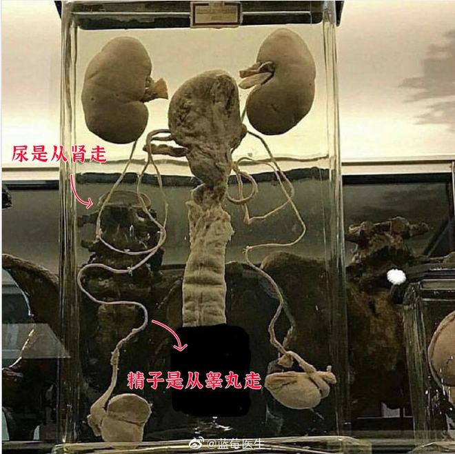 红绿灯寸止视频