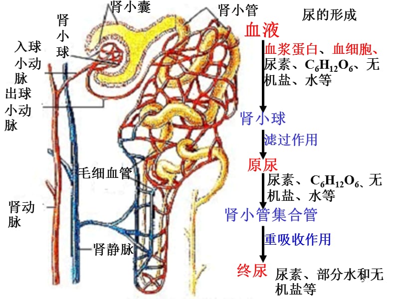 海角社区今日回家方式 不同交通方式对应不同色块