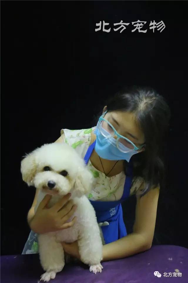 黑了不打烊最新