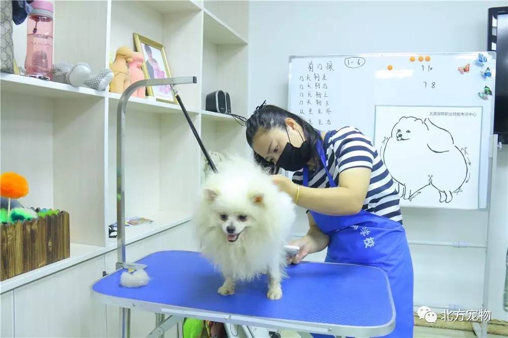 日本电影高中生