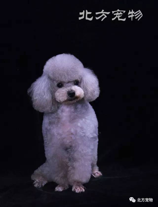 m系漫 我还没有学会回答这个问题