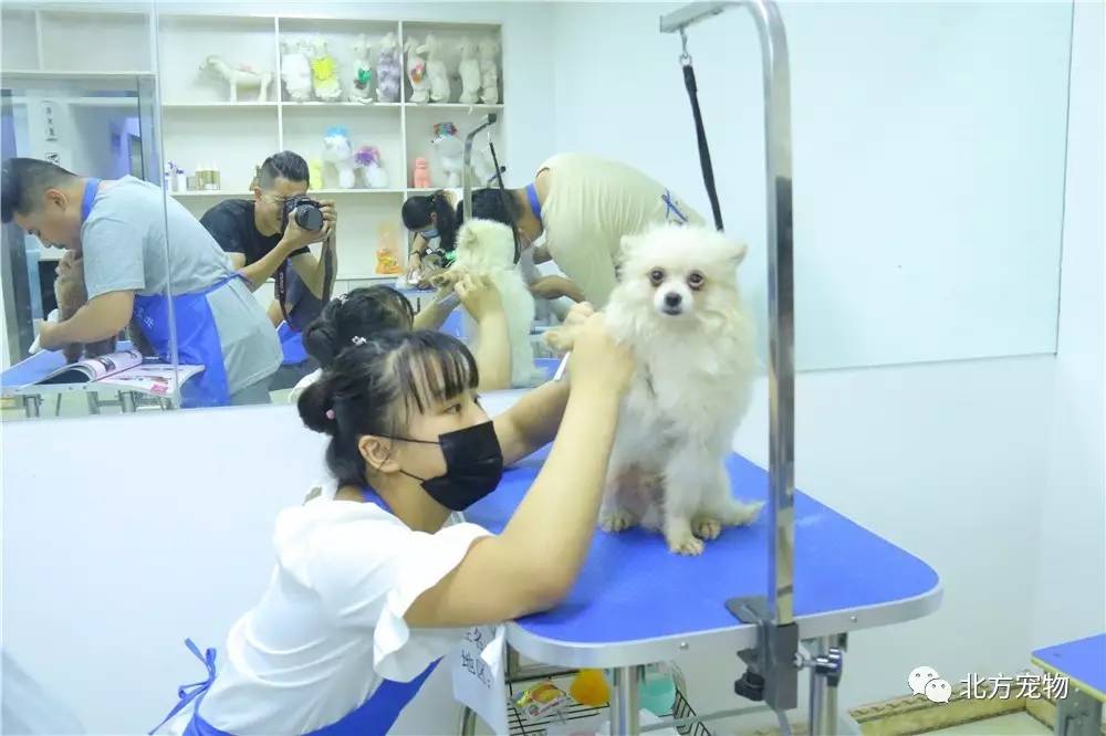 榨精小护士互动电影 榨精医疗案例等健康主题