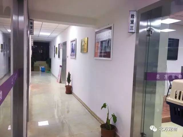 国产馆一区二区，国产馆一区二区亚洲