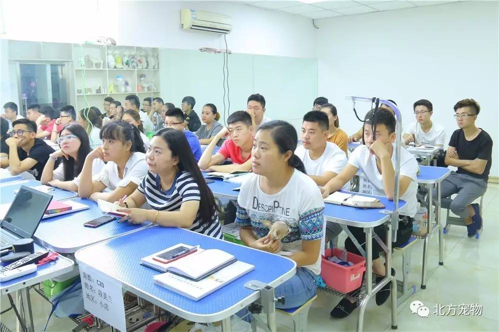 欧美综合在线精品第二页 当用户导航至第二页时