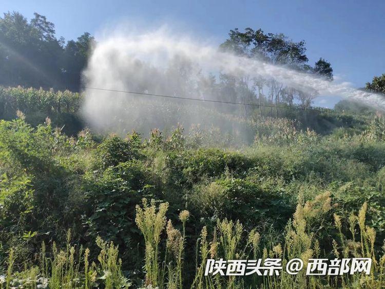 十八岁大陆女RAPPER欢迎你