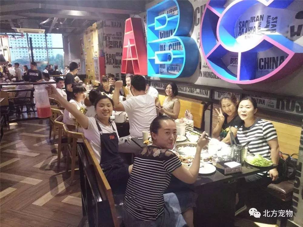 小马拉大车全集 我还没有学会回答这个问题