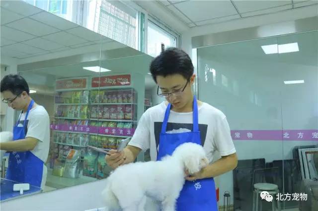 精品国产亚洲一区二区三区在线 还是精品朋友推荐的