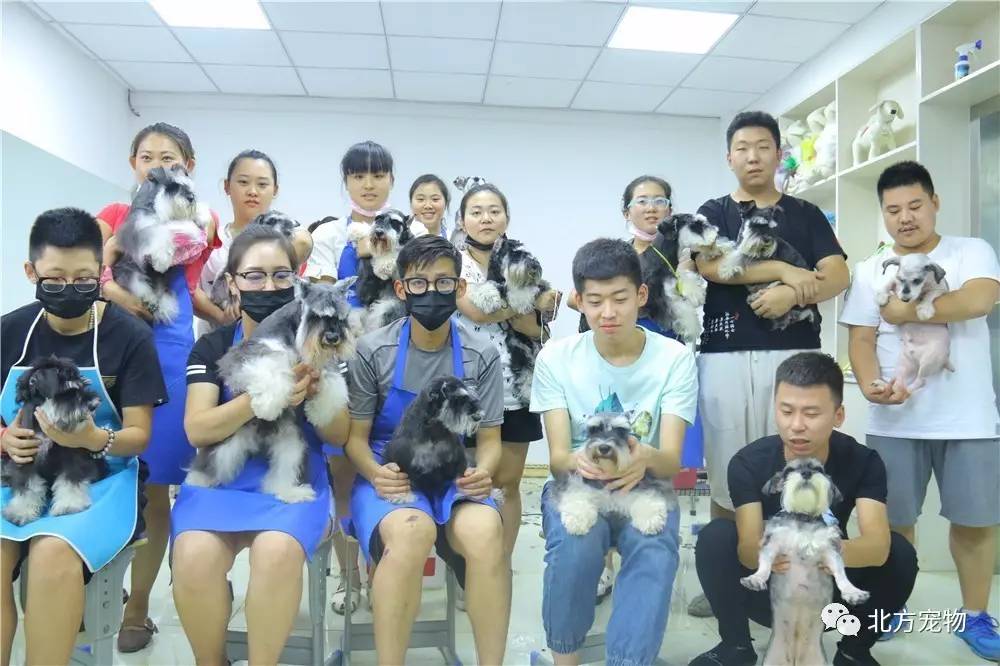 夺命直播 夺命直播加强生命教育