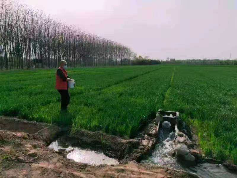 电影悬崖峭壁在线观看2026