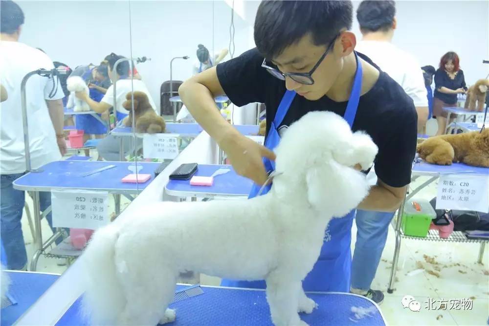 麻花影视大全 影视腾讯视频、大全卫视直播