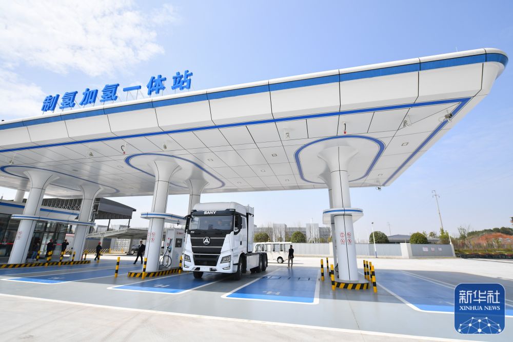 亚文化视频在线观看 