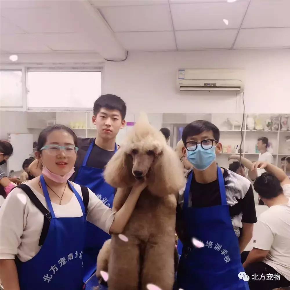 亚洲国产精品久久久久 从文化创意到高端制造