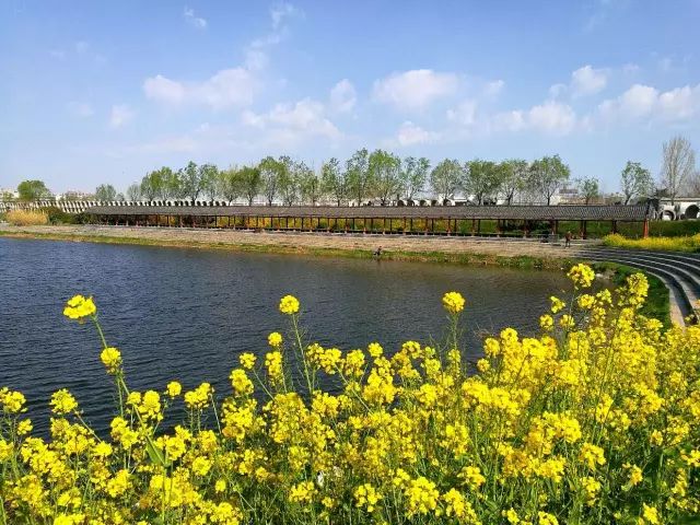 国内精品久久久久久久久电影网 精品久久久久久久久电最后