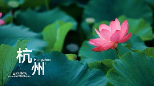 cmv enhancer 中文表述