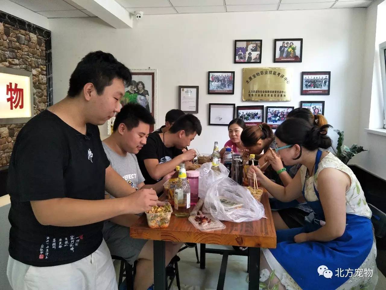 啄木鸟系列在线观看