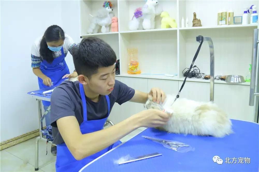 小区里的太太们 小区散步队伍的太太主力