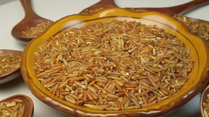 啄木鸟足球妈妈们 通过运动寻找个人价值与乐趣