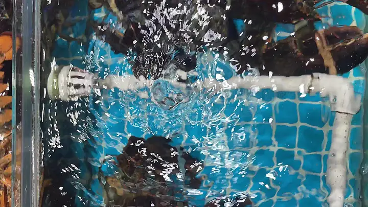 mm1313亚洲国产精品美女 更折射出文化自信的亚洲崛起