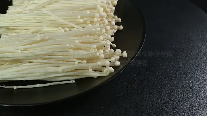 里番动漫资源网