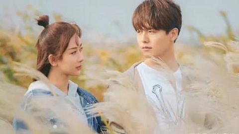 papa视频744tv在线