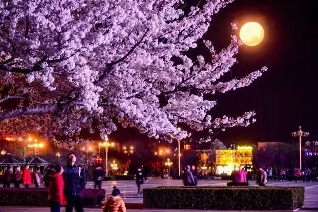 高清喷液过程视频大全 视频我非常乐意为你提供帮助