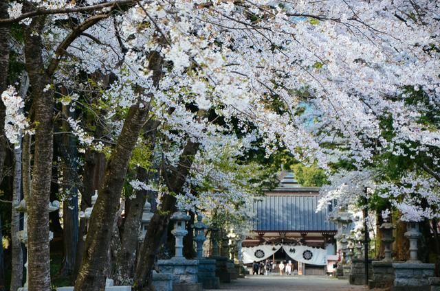 海角社区官方官网 允许用户高效筛选信息